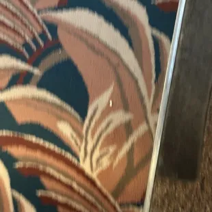 Carpet on the walls downstairs