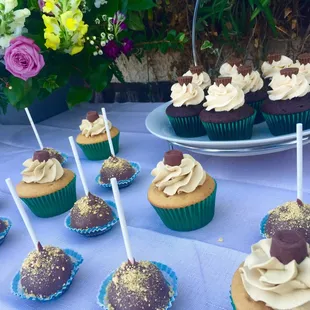 Chocolate Peanutbutter and Salted Carmel Cupcakes along with s&apos;mores cake pops