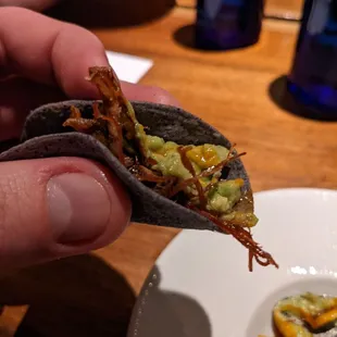 a hand holding a tortilla