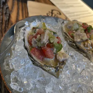 Oysters with Ceviche   More pics on Instagram @scooley414