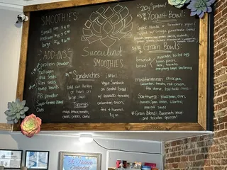 Succlent Smoothie