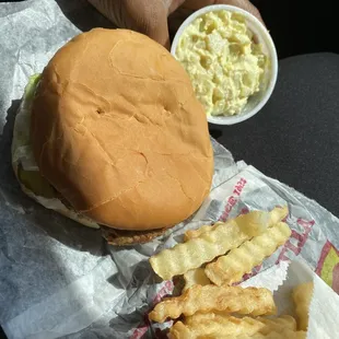 Turkey burger, fries, and potato salad