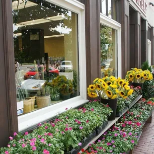 a row of sunflowers in a window box