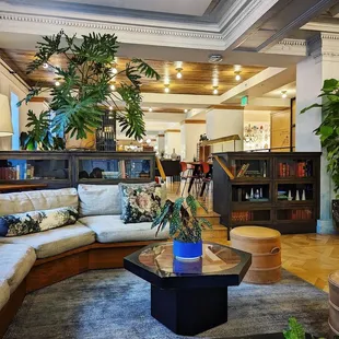 ramen and noodles, interior