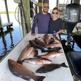 All the snapper we caught