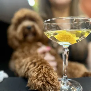 Signature martini