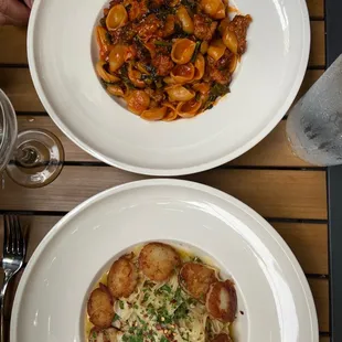 Orecchiette, scallops and fettuccine,