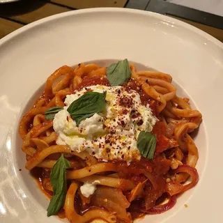 Bucatini All Amatriciana Pasta