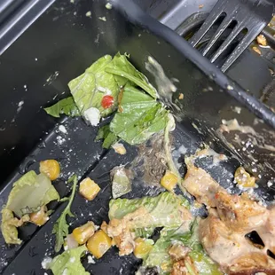 Mud/dirt in salad