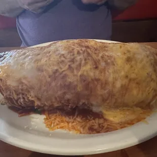 Wet Burrito