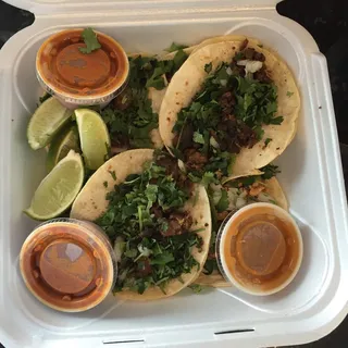 Cilantro