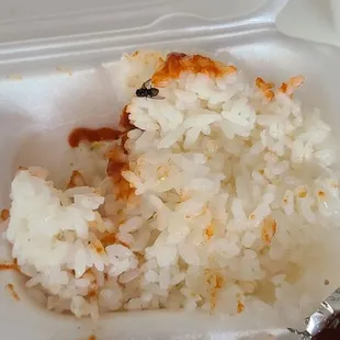 The extra protein I didn't order