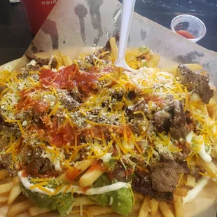 Carne asada fries