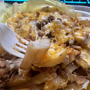 Pollo asada fries