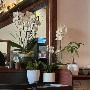 Bright fresh interior