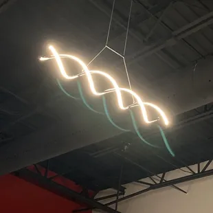 Lighting feature from the rafters