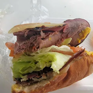 Very large, tasty sandwich for $8.99