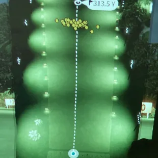 FORESIGHT GC3 in my garage SIM FSX OR FSX PLAY PRACTICE-PRACTCE-PRACTICE