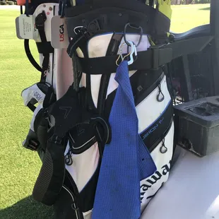 Mosquitoes covering blue towel