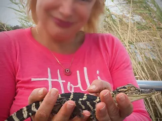 Big Easy Swamp Adventures