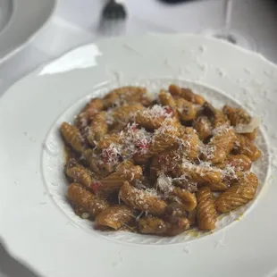 CAVATELLI WITH JAMAICAN BEEF RAGU