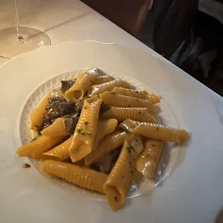 PENNE WITH MORELS