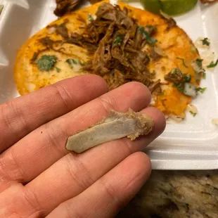 Huge bone in taco !!!