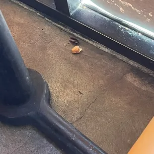 Went to have lunch today and my son dropped something under the table, I looked under and saw this!