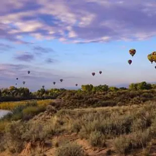 several hot air balloons flying over a river