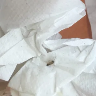 COCKROACH!!! I will not eat in a restaurant with cockroaches.