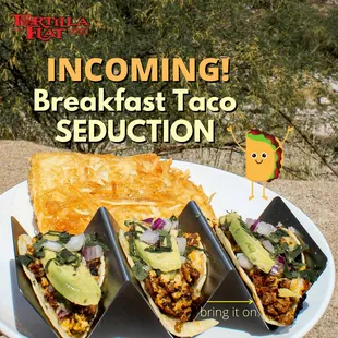 Local chorizo breakfast tacos with homemade cactus salsa