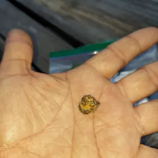 a tiny tortilla on a person's hand