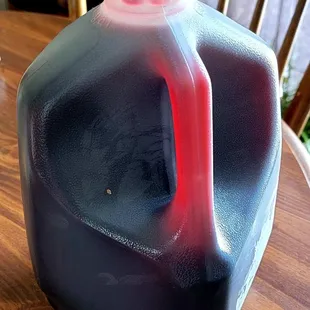 Agua de Jamaica
