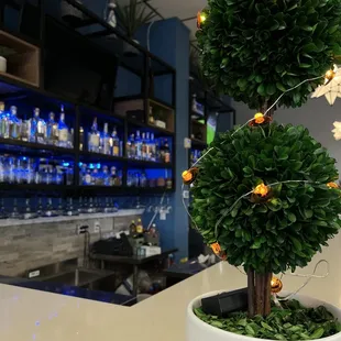 Nice Bar to sit in with friends
