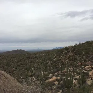 Picacho Peak from Upper Javelina
