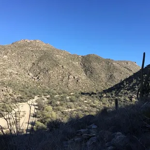The wash/Wild Burro