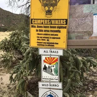 Use your eyes and ears! Plenty of wildlife here.