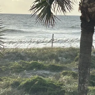 The view from upstairs restaurant