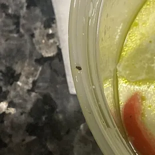 Many bugs were inside my foods.