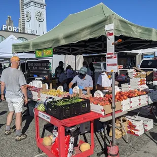 Saturday Ferry Farmers Market, shelter in place