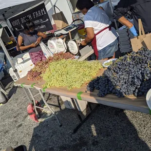 Grape season, shelter in place