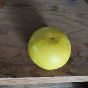 Oro blanco grapefruit in season, shelter in place