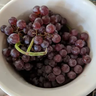 Champagne grapes, shelter in place