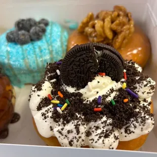 Oreo butter cream explosion Cinnamon walnut crunch Blueberry delite  Vanilla sprinkle Chocolate chip delite