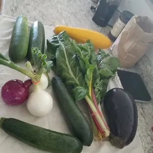 Zucchini, summer squash, swiss chard, onions and eggplant!