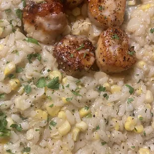 Scallop Risotto