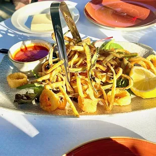 Fried Calamari