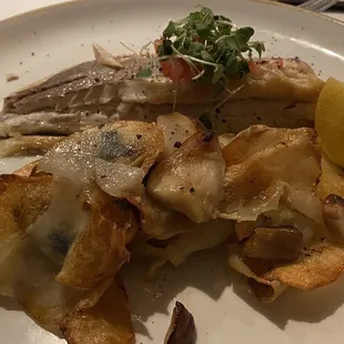 Sea Bass