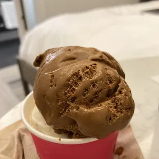 Burnt caramel (almost looks like chocolate)&amp; kulfi. Small size with 2 flavors