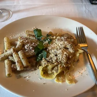 Rigatoni Norcina and Pappardelle Bolognese Bianco